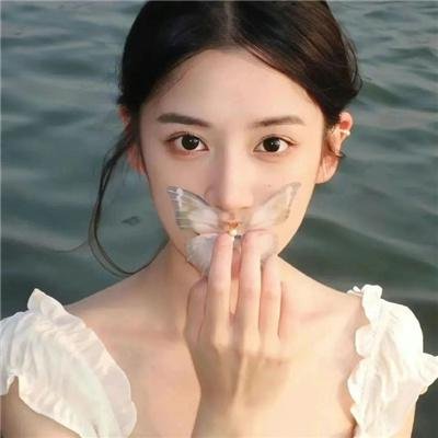蒂蒂日记