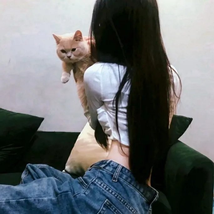 大梦西游3女儿国奇遇记